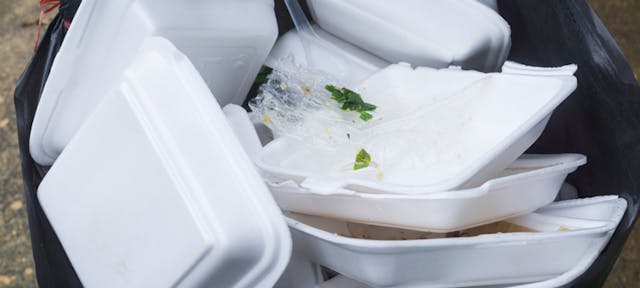 San Diego City Bans Polystyrene Foam Containers